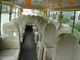 Safetly Diesel Star Travel Bus Durable 30 Xe chở khách với hộp số tay nhà cung cấp